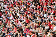 ウェールズ代表の公開練習に駆け付けた日本人の数（海外の反応）