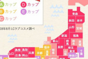 中国人「なぜ日本には背が低くて胸が異常に大きい女性がたくさんいるの？」　中国の反応