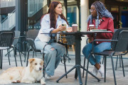 【海外】アメリカで犬と暮らしやすい！西海岸が勝者の犬-friendly都市ランキング7選