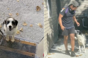 【海外】「愛犬のとっておき！大好きな郵便配達員との感動のご挨拶」