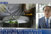 【韓国・無断盗用】韓国TV「おいしい海南蜂蜜サツマイモの秘訣は？  "品種国産化" 【さつまいも・紅はるか】