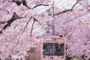 【韓国の反応】「日本に行ってきれいな写真を撮ってきたよ」「日本すげぇ…」