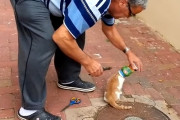 ボトルに頭を突っ込んで抜けなくなってしまっている子猫ちゃんを優しいおじさんが救出！