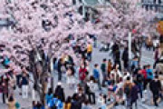 外国人「新宿駅のような日本で待ち合わせが難しい駅ってある？」