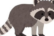 秘密を暴露されてしまった夫の主張「アライグマに文句が言いたい、なぜなら…」