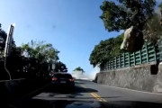 【台湾地震】激しい揺れの直後、巨大な岩が自動車を襲う