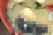 韓国人「日本の食堂は害虫が出るのは当たり前だね」...すき家の一連騒動で韓国人からも相次ぐ"害虫経験談"
