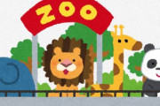 海外「この可愛さはもはや反則だなw」日本の動物園のモフモフ動物がぬいぐるみを渡された結果があまりに可愛いと外国人もメロメロ