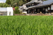 日本人が描いた4コマ漫画「田舎の静かな暮らしって憧れますよね」が超共感できると話題に！【台湾人の反応】