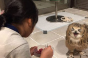 海外「これは思わず笑ってしまったw」食事中の表情があまりに豊かな日本のモフモフ動物がかわいらしいと話題に【海外の反応】