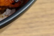 日本のうなぎで満足感を倍にする方法←「それがモットーだ！」（海外の反応）