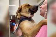 【海外】「幸運の瞬間！保護犬が選ばれた喜びで笑顔に溢れる瞬間」