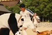 中国人「元サッカー中国代表が日本代表について発言」　中国人「一言たりとも信用できない」「五歩が百歩を批評するとは」