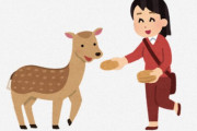 海外「日本に住んでたらって思う」「魔法のような時間」奈良の吉野で春に見られる絶景