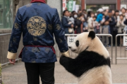 海外「パンダ返還は日中の揉め事ってわけでもないだろ」上野動物園のパンダ舎の解体報道に対する反応【海外の反応】