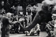 1949年に親日のインド首相から日本に贈られたものに海外が感動！（海外の反応）