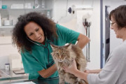 犬がガンを患う割合は人間と同じくらい？！大切なペットのために飼い主に求められること
