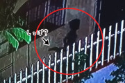 こ、これは！？尻尾を持つ人間の子供のような影が走り回っている姿が監視カメラにとらえられる