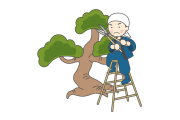日本の庭木が「職人さんいい仕事する」「めっちゃ可愛い」と話題に！【台湾人の反応】