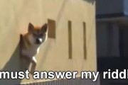 海外「柴犬が穴から飛び出してきた瞬間吹いた！」