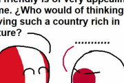 【日本】全ての国に言えること【ポーランドボール】