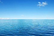 「人生で初めて海を見ました」弟からの誕生日プレゼントで海に連れて行ってもらった姉の話【海外の反応】