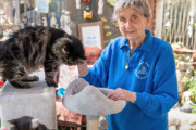 【海外】90歳の女性が1万人以上の動物を救った！引退しないその理由とは？