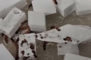 海外「プラスチックゴミの救世主現る」腸内にリサイクル工場を持つあいつらが地球を守る任務に就く日は近い※虫注意