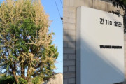 100年超のイチョウに除草剤を注入した煥基美術館、韓国では「芸術を語る資格があるのか」と怒り
