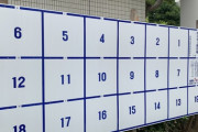 日本の衝撃的な選挙候補者たち! 日本の政治の不条理さ！？時代遅れの選挙制度!「こんな国がまだあること自体がおかしい」「先進国コスプレ...」海外の反応