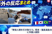 【海外の反応】「野良人間を引き取ろう」熊本・猫島湯島の動画に外国人殺到