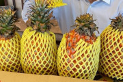 外国人「安倍元首相の写真を振り返る、素敵な思い出ばかりだ」