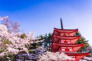 【海外の反応】日本は美しい…しかしイスラム教徒はいるのか？