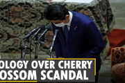 海外「これぞ日本、尊敬する！」桜を見る会問題で謝罪した安倍首相の姿に感激！？