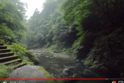 東京唯一の村「檜原村」の散歩動画に海外感動