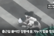 【動画あり】韓国人「台風6号が直撃した直後の釜山の様子をご覧ください‥（ﾌﾞﾙﾌﾞﾙ」→「マジで怖かった」　韓国の反応