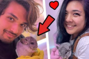 外国人「日本の動物カフェ、なんか残酷だな・・・」