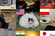 メキシコ人「世界各国のステレオタイプ猫を集めたがこれ合ってる？」