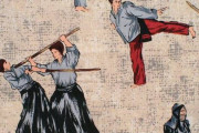 中国人「日本の剣道を長年やって気付いた。中国武術はゴミ」　中国の反応