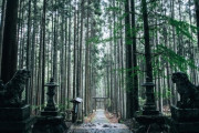 【海外】「なんて神秘的なんだ・・」まるで異世界への入り口のような京都の穴場スポットに海外も感動！