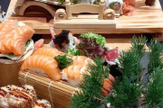 ドイツの寿司レストラン、派手すぎる盛り付けで寿司を出してくるｗｗｗｗ