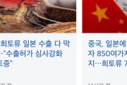 韓国人「日本が握る”半導体の命綱”供給ストップで、中国の製造ラインが沈黙する可能性…一方で中国は”希少資源”で反撃へ」