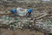 ゴミの海が本当に深刻な問題となっている。海洋プラスチックごみの実態。海外の反応