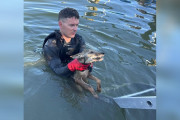 【海外】消防士が湖に飛び込む！溺れている「犬」を救助しようとした結果、意外な動物が登場！