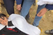 日本の市議がクルド祭りで暴行被害→海外では賛否両論「暴力は暴力だ」「大げさだ」移民問題を巡る国際的な議論に発展