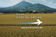 韓国紙「日本、旭日旗に続きまた ... "福島産牛肉、おいしい" 広告に眉をひそめる」韓国の反応