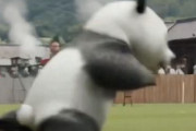 中国人「みんなサッカー日本代表がすごいと言うけど、実際どのくらいすごいの？」　中国人「アジアでは独走、世界では準一流」「中国は華麗に蹴散らされる」