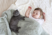 【動画】赤ちゃんと子猫を仲良くさせようとする親猫が可愛すぎる【海外の反応】