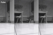 ご主人たちが居ないことを確認したハスキー、ケージを開けて友達の犬を逃がすも監視カメラで犯行がバレてしまう！