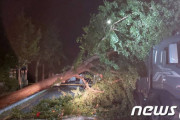 台風8号バービー、3時時点で965hPaにパワーダウン、光州・全羅南道など朝鮮半島南部で被害続出